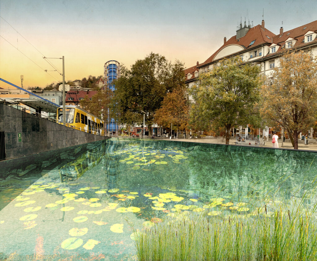 Seehrosenteich am Marienplatz in Stuttgart